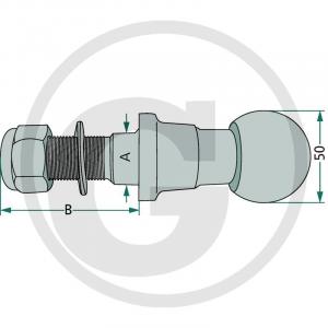 20013160 BOLT CU CAP SFERIC SI FILET